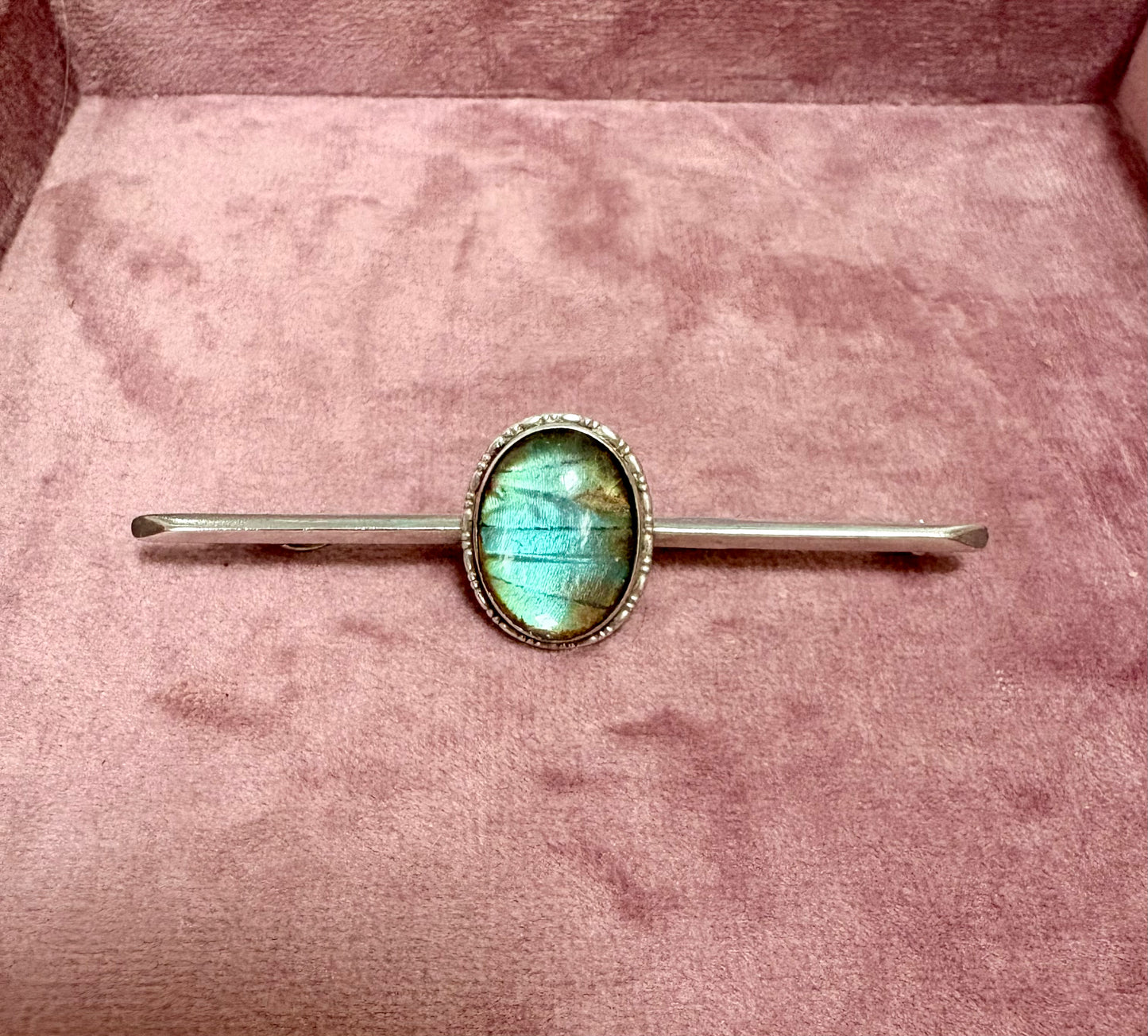 Stunning Art Deco Butterfly Wing and Silver Bar Brooch
