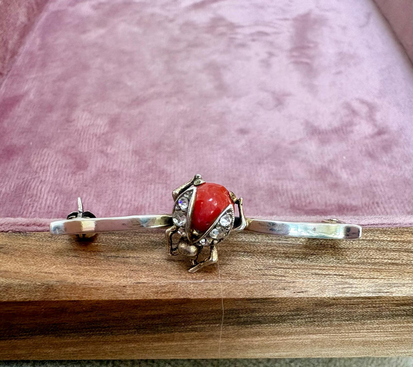 Wonderful Antique 14k Gold, Coral and Old-Cut Diamond LadyBird Brooch