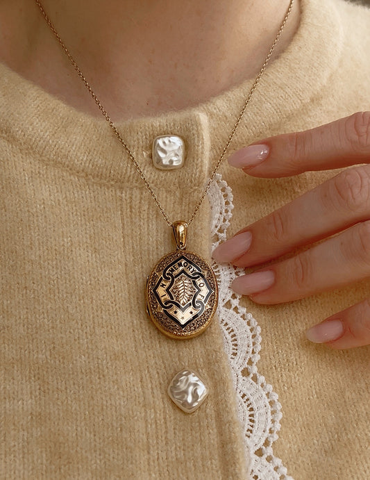 Wonderful Late 19th Century Enamel Hairwork Memorial Locket